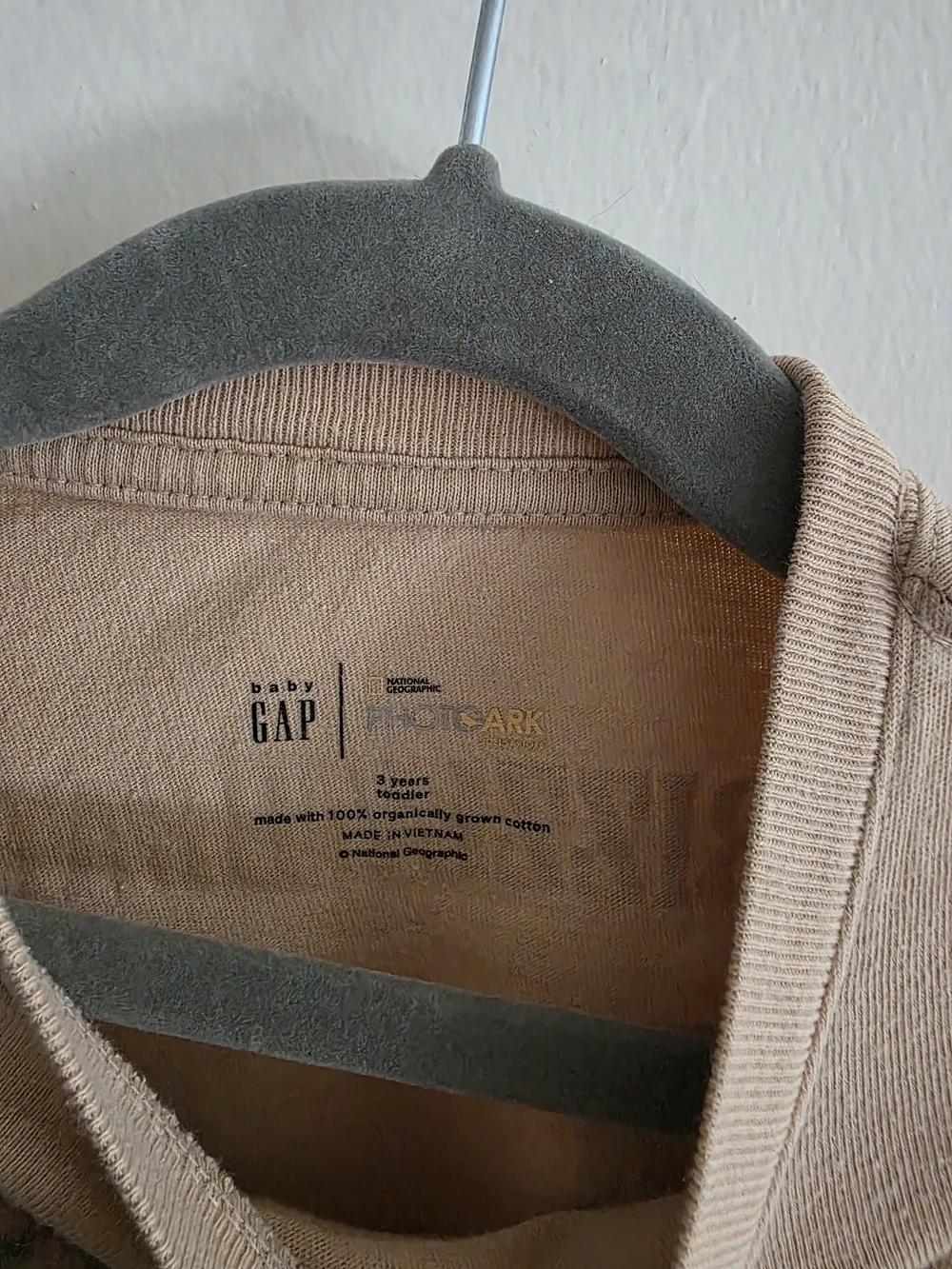 GAP Beige Long-Sleeve Tee with Bear Grid Graphic